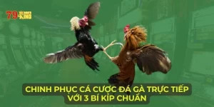 Đá gà trực tiếp