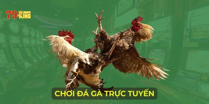 Chơi đá gà trực tuyến