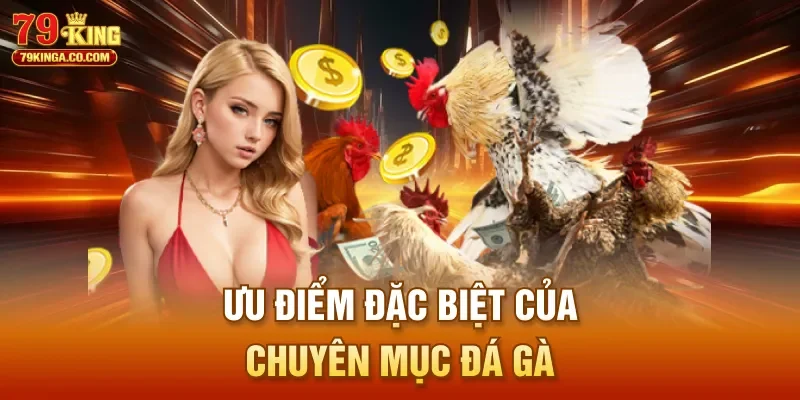 Ưu điểm đặc biệt của chuyên mục đá gà